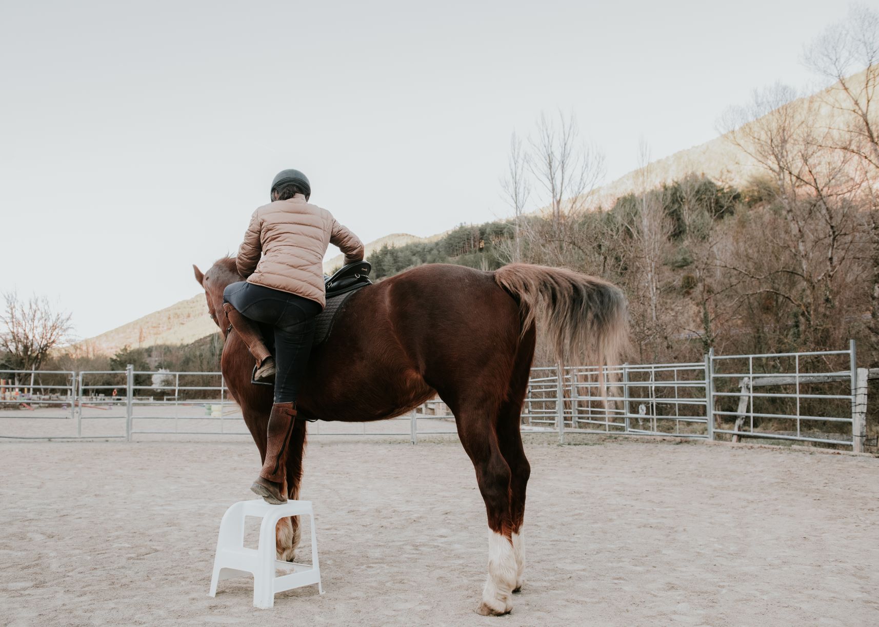 The Benefits of Horseback Riding in a Ranch